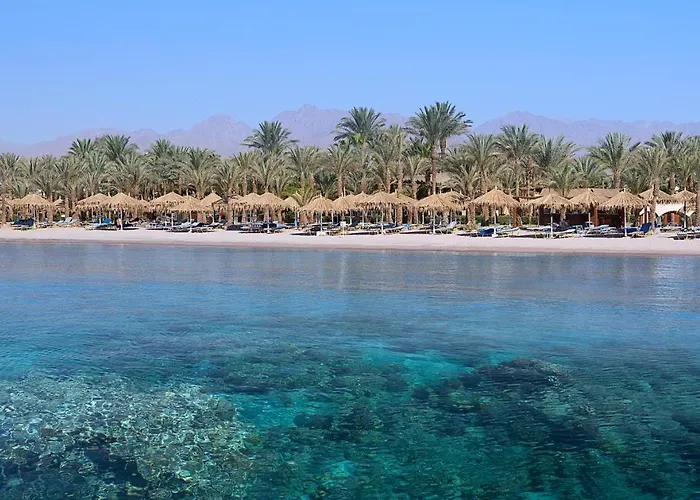 Dreams Vacation Club - Aqua Park 5* Sarm es-Sejk